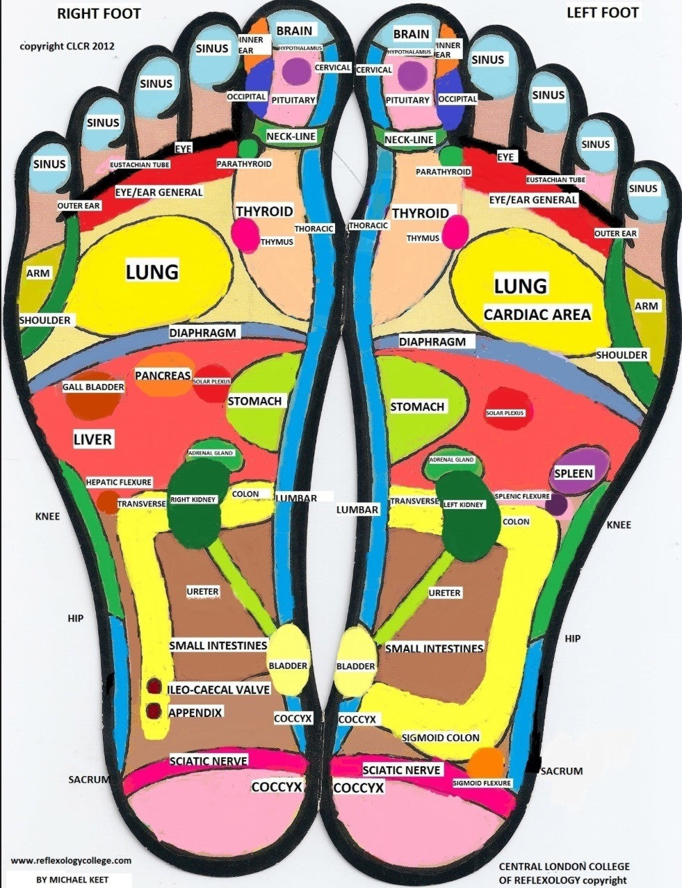 Reflexology Course
